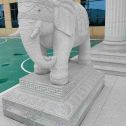 临沂 白麻花岗岩动物异形石雕-大象