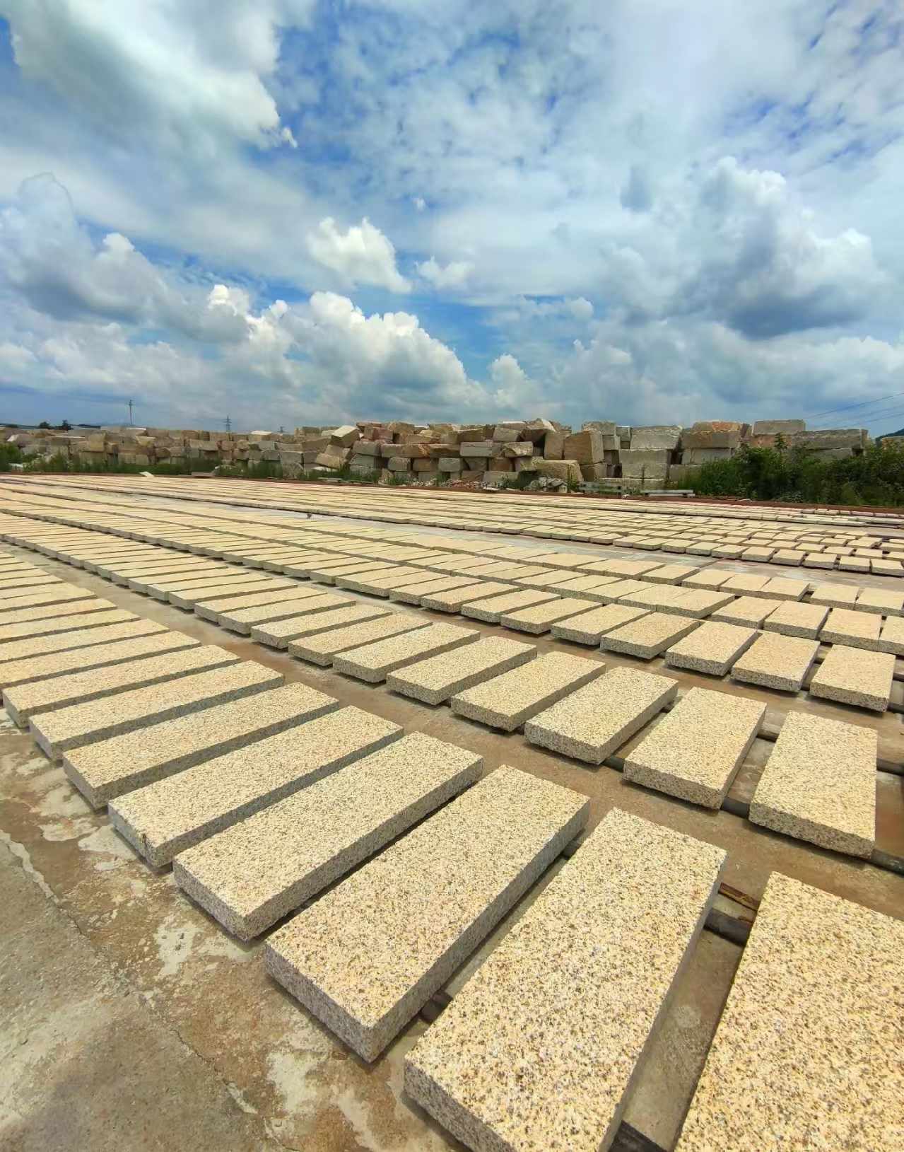 临沂 黄金麻荔枝面花岗岩石材地铺石防护中