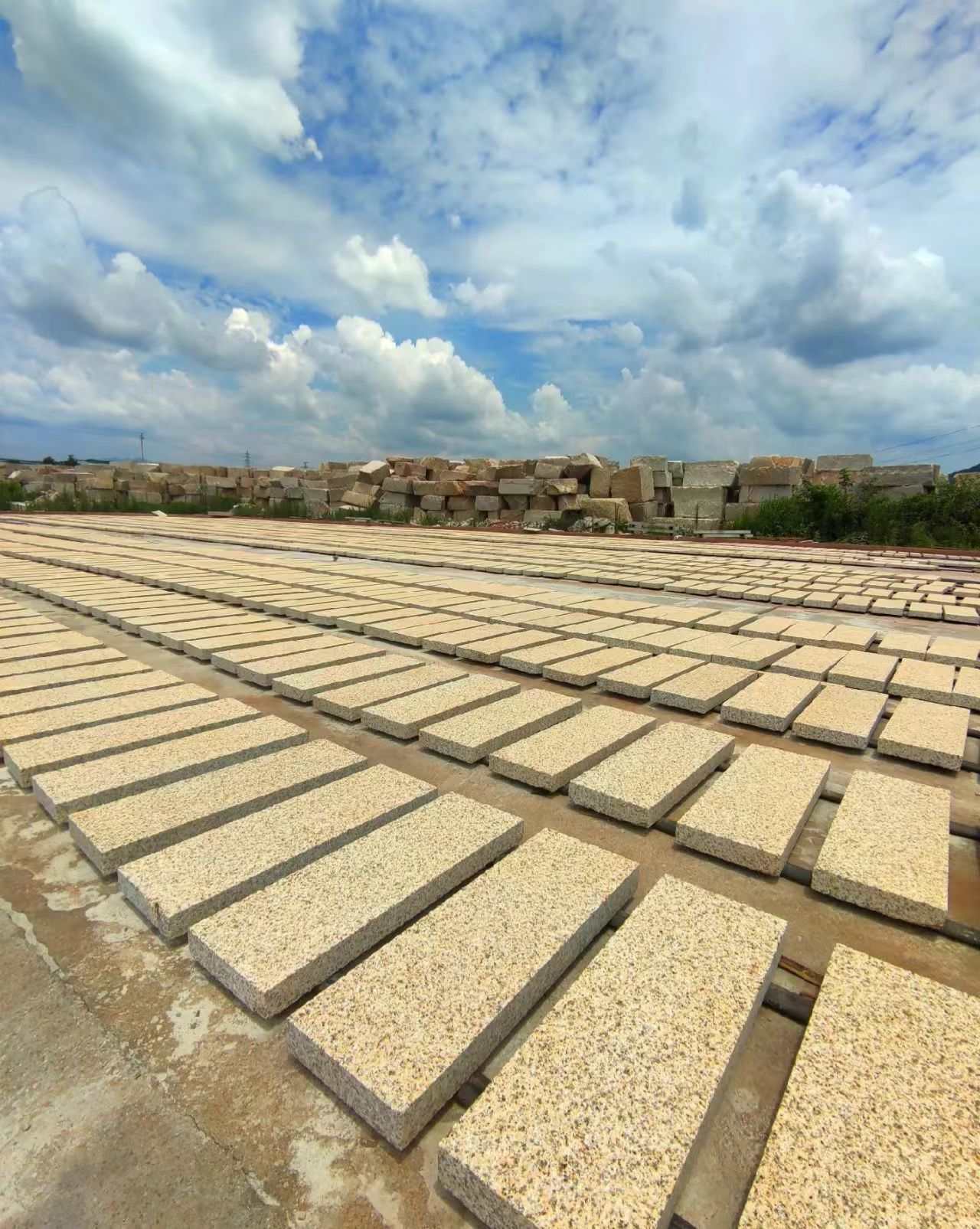 临沂 黄金麻花岗岩荔枝面地铺石防护中